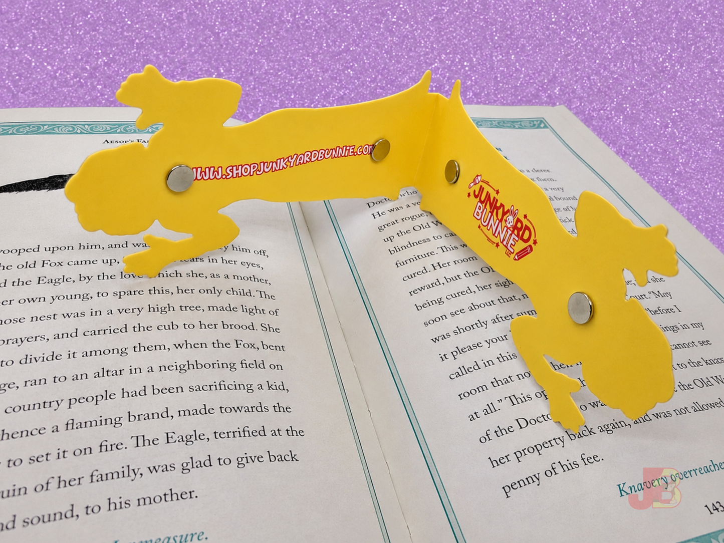 House on Haunted Hill Old Lady Magnetic Bookmark